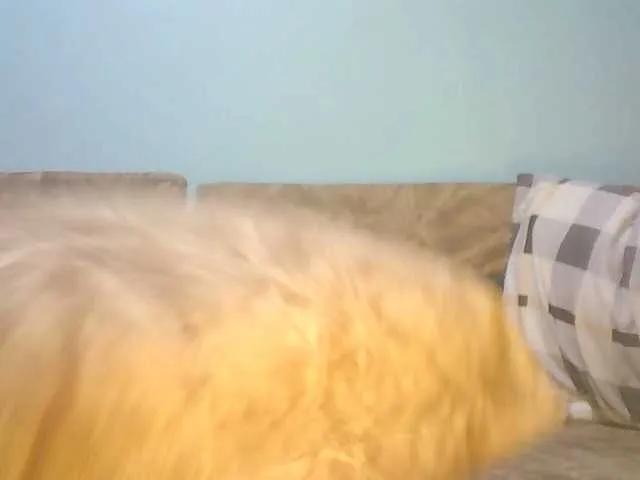 Amandacute on BongaCams