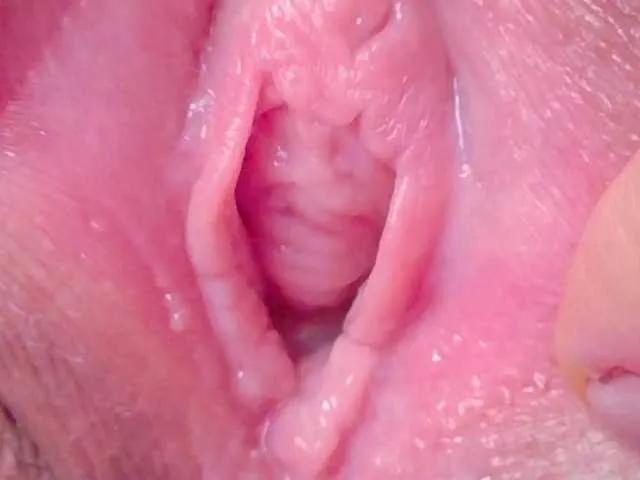 orchide-kitty on BongaCams